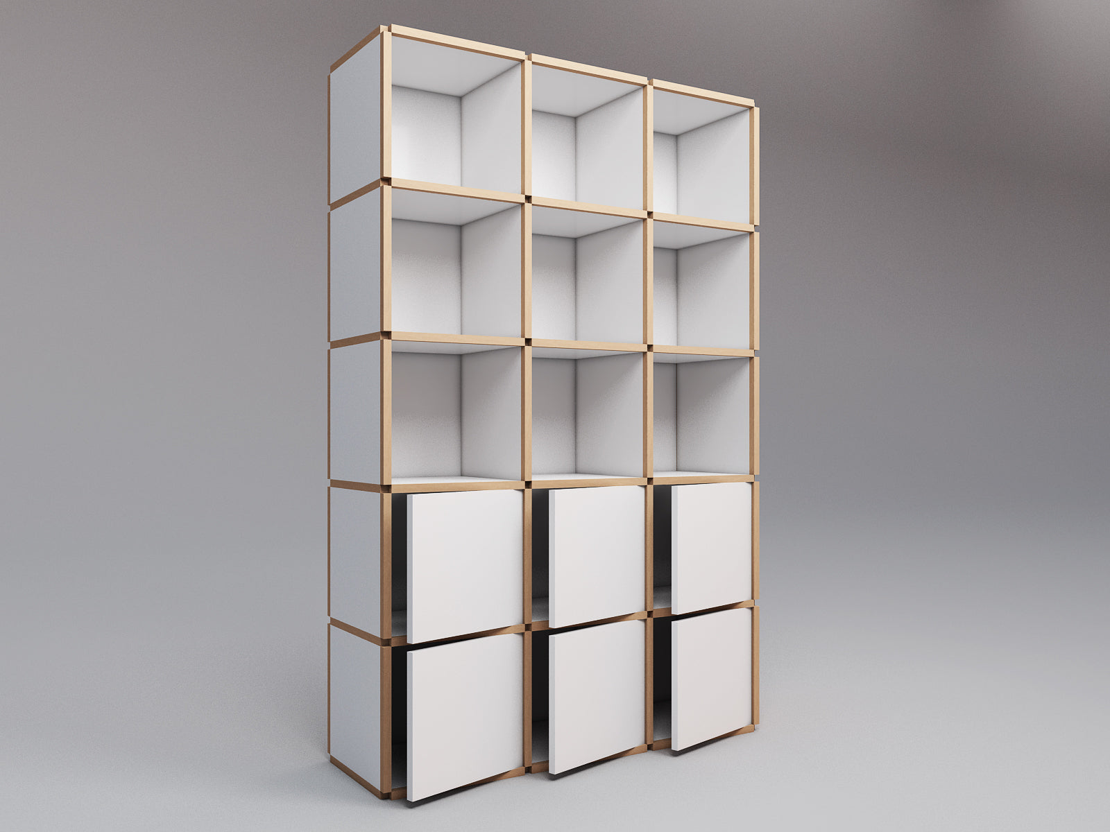 Tall bookcase with doors - Module Inc