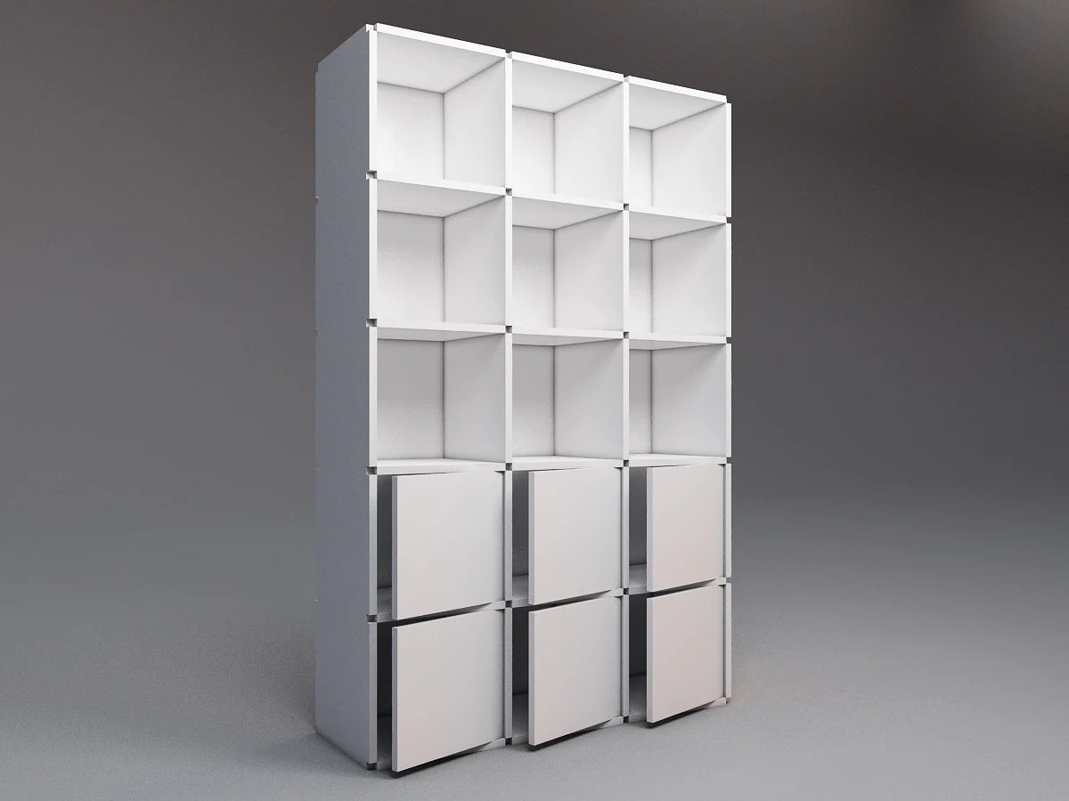 Tall bookcase with doors