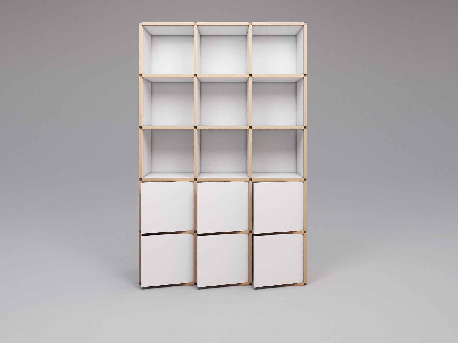 Tall bookcase with doors - Module Inc